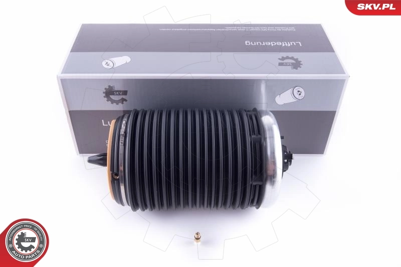 Air Spring, suspension
